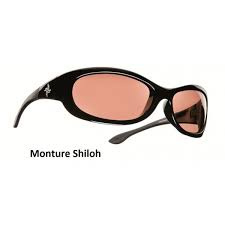 Cocoons Quattro Sunglasses