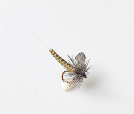 Realistic Mayfly