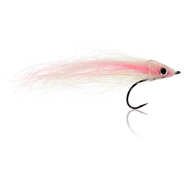 Agerskov's Baitfish