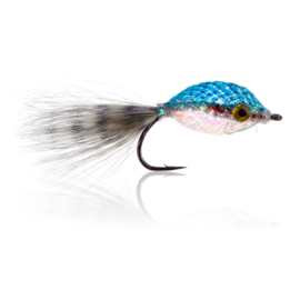 Twinkle Tube Fish