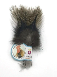 Coq de Leon (Medium Speckled)