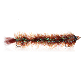 Cactus Børsteorm  brown