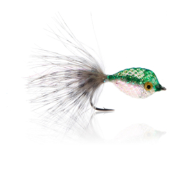 Twinkle Tube Fish