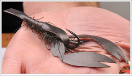 Crayfish Fly