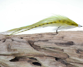 Flatwing