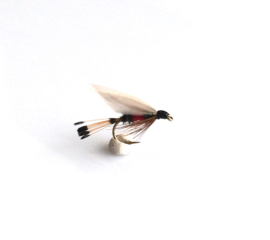 Royal Coachman Wetfly