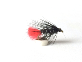 Wet fly set (30 pcs)