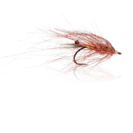 Copper Shrimp