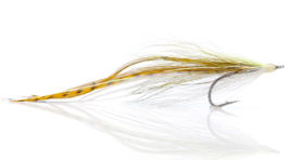 Flatwing