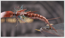 Bull Stonefly Part II