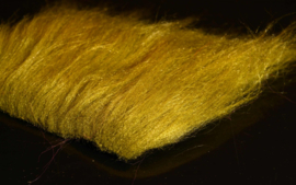 Polar Hair (A. Jensen)