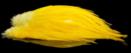 Cock Saddle (colors)
