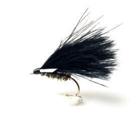 Cormorant Black