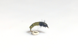 Czech Caddis Larva Olive