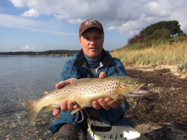 Seatrout Tips