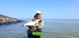 Seabass Craft Fur Shrimp