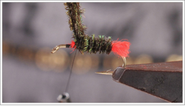 Red Tag Dry Fly