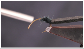 Flying Ant Black