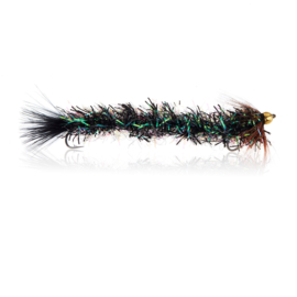 Cactus Børsteorm Black