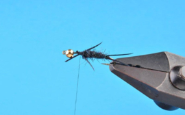 Kleine Steenvlieg Nymph