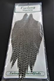 Ewing Rooster Cape