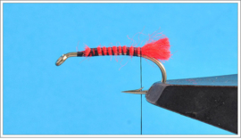 Red Tag Dry Fly