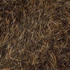 Wapsi Natural Fur Dubbing Squirrel