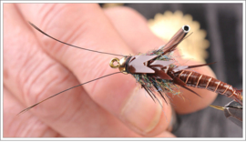 Bull Stonefly Part II