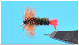 Red Tag Dry Fly