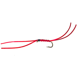 Apps Bloodworm