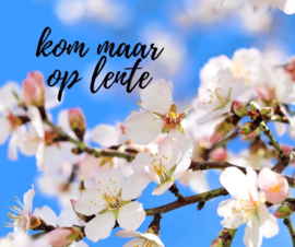 Kom maar op Lente!