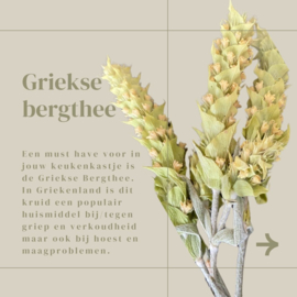 Help jezelf de winter door
