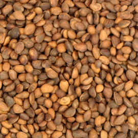 Cedernoten 500gr