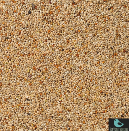 Deli Nature 40 Tropische vogels basis 5kg