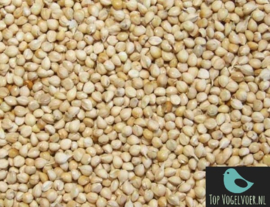 Witte millet 1kg