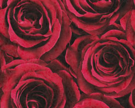Rood rozen behang 37004-2