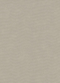 TAUPE GLITTER VLIES BEHANG ERISMANN MY SELF 6862-37