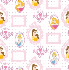 Disney Princess Frames behang DF71799