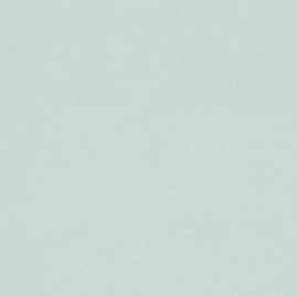 effe uni vlies behang rasch 479454