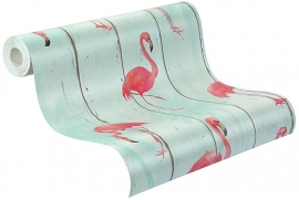 flamingo behang vogel dieren   479706