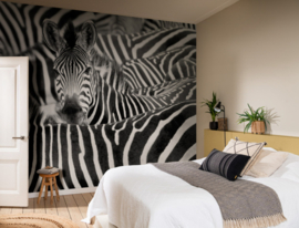 Rasch African Queen III Wall Panel Zebra 363609