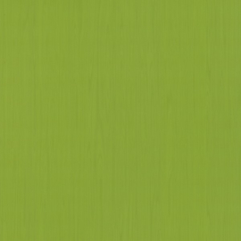 groen behang xxxt4