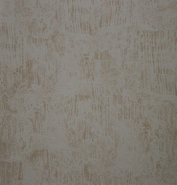 BN Wallcoverings Stijl & Sfeer beton