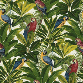 papegaai behang natuur tropical bomen planten bos groen vogel dieren A11502