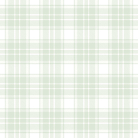 Scotch ruiten behang  38122-2