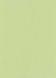 Groen glitter behang erismann 6314-07