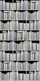 Vintage Rules! WallpaperXXL Boekenplanken 158205 fotobehang grijs