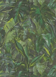 tropical behang 10081-07