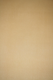 Vinyl behang 850043 uni Satin