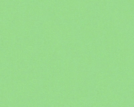 Groen behang vlies 3565-98